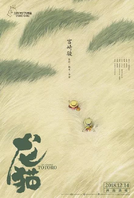 亚莱恩国际大学 Design degree certificate
